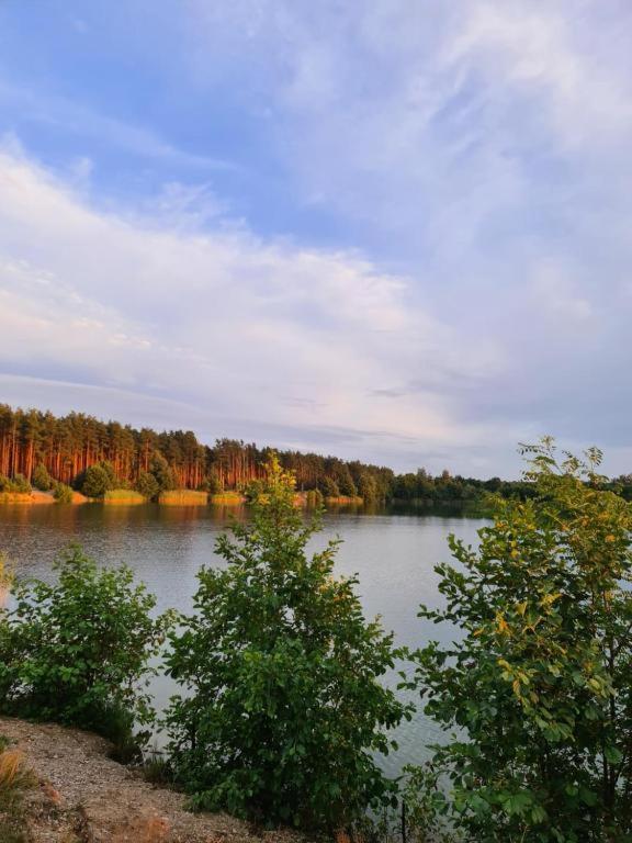 Agroturystyka U Siwego Rokitki  외부 사진