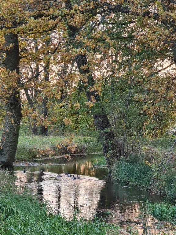 Agroturystyka U Siwego Rokitki  외부 사진